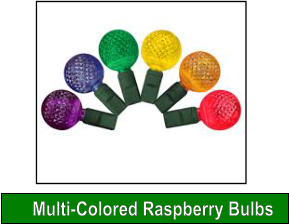 Multi-Colored Raspberry Bulbs